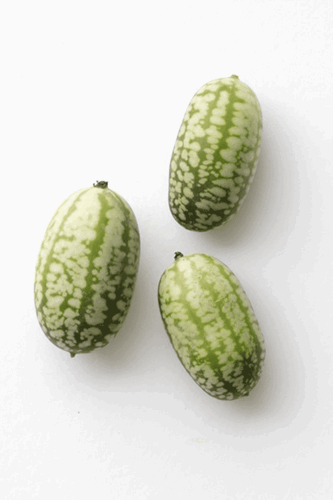 vandmelon-agurk