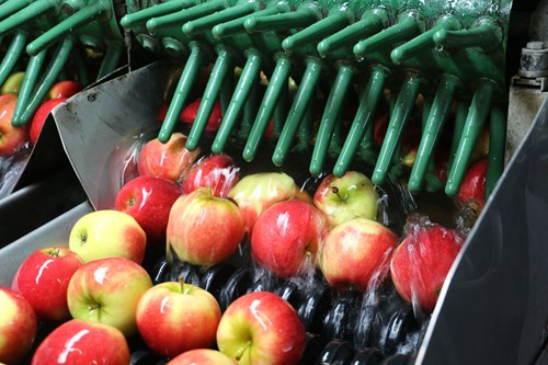 vask af æbler